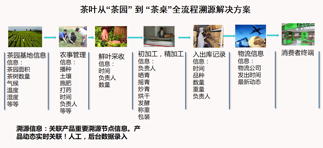 雨林古茶坊(图3)