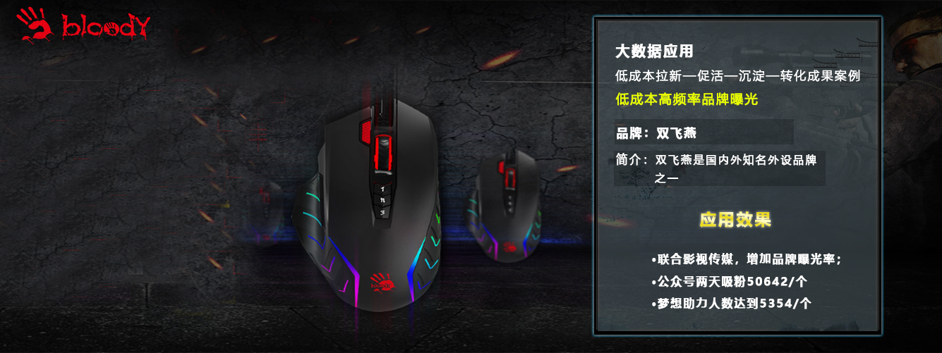 双飞燕(图1)
